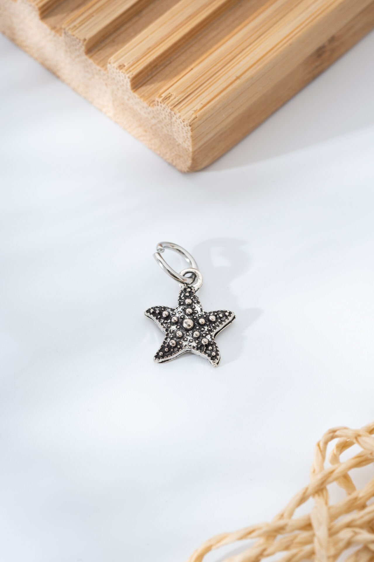 Çelik Deniz Yıldızı Charm