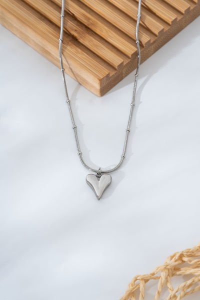 Çelik Kalpli Silver Kolye