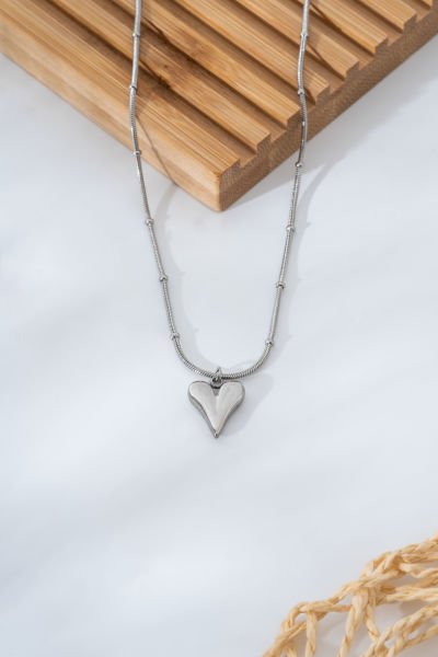 Çelik Kalpli Silver Kolye