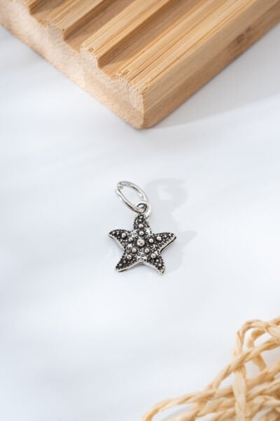 Çelik Deniz Yıldızı Charm