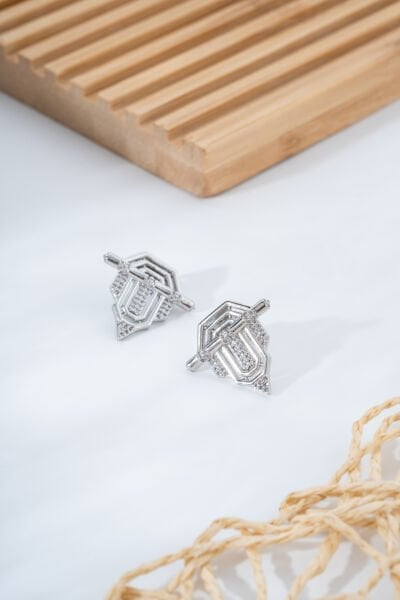 Kadın Gümüş Renk Geometrik Taş İşlemeli Çelik VIP Küpe