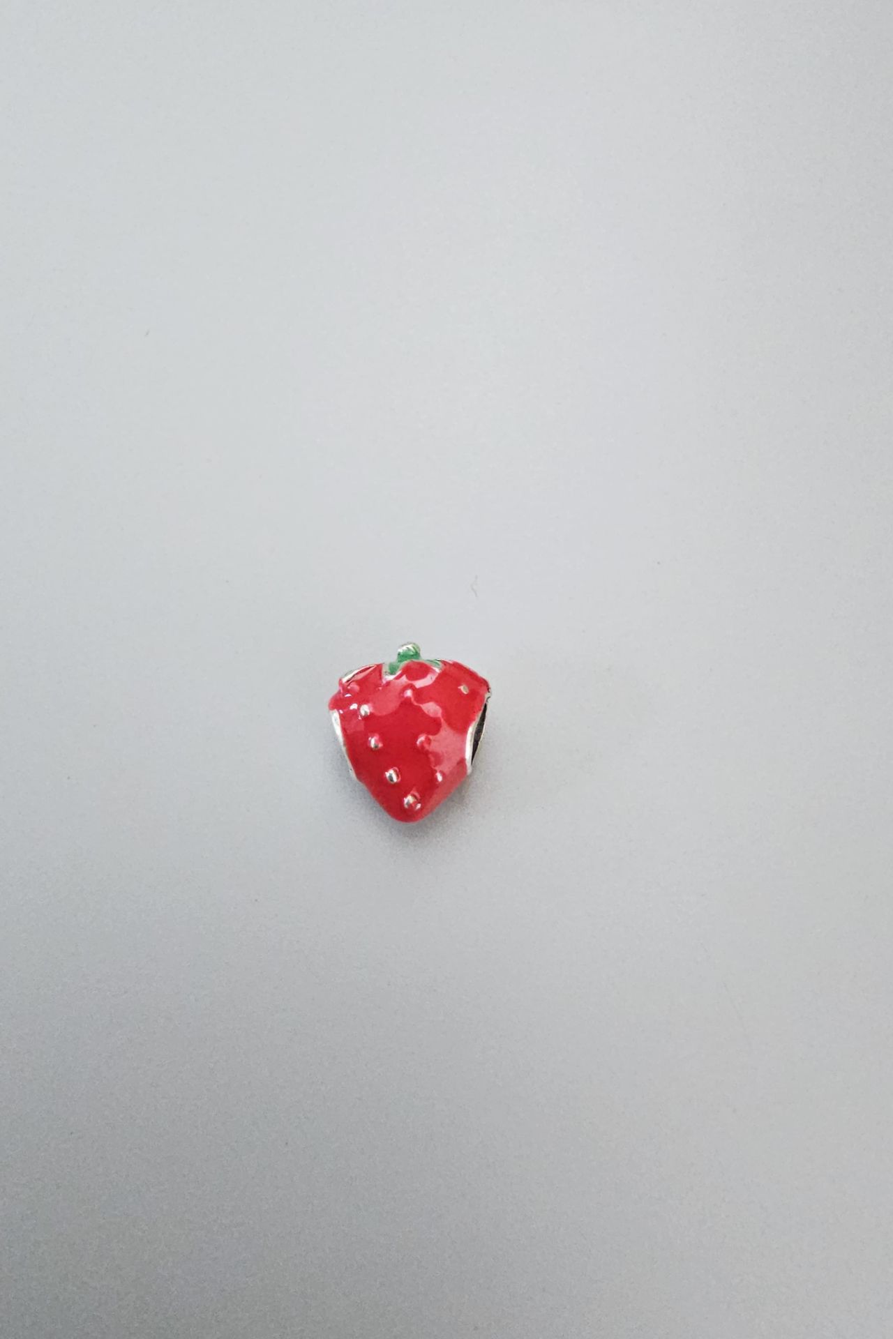Çelik Çilek Desenli Charm