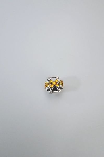 Çelik Gold Papyon Charm